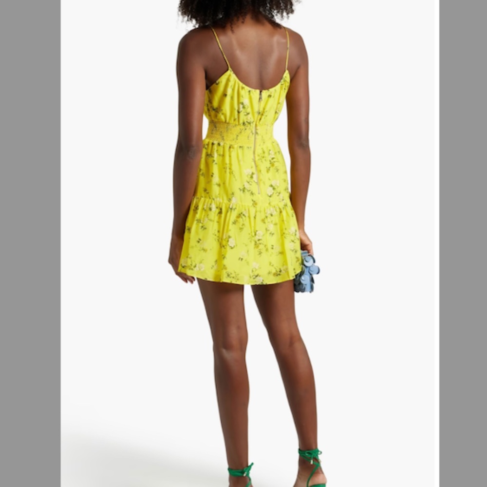 Alice + Olivia Lai smocked floral-print cotton and silk-blend voile mini dress - Picture 3 of 5